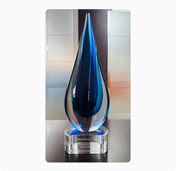 Growth Partner of the Year 2017 India and SAARC - Commvault Award